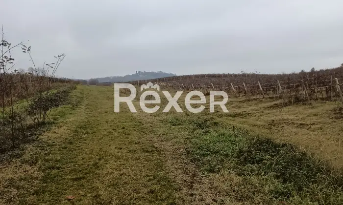 Rexer-Castelnuovo-Bormida-Cascina-in-vendita-in-Via-Roma-a-Castelnuovo-Bormida-Altro