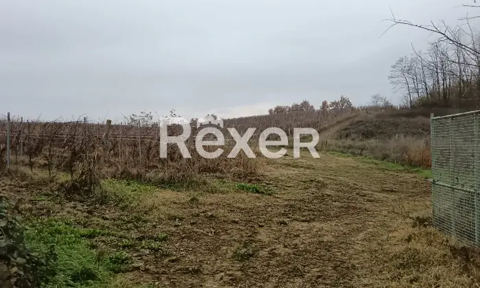 Rexer-Castelnuovo-Bormida-Cascina-in-vendita-in-Via-Roma-a-Castelnuovo-Bormida-Altro