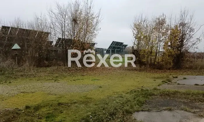 Rexer-Castelnuovo-Bormida-Cascina-in-vendita-in-Via-Roma-a-Castelnuovo-Bormida-Altro