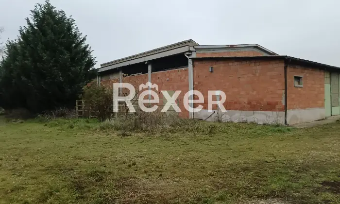 Rexer-Castelnuovo-Bormida-Cascina-in-vendita-in-Via-Roma-a-Castelnuovo-Bormida-Altro