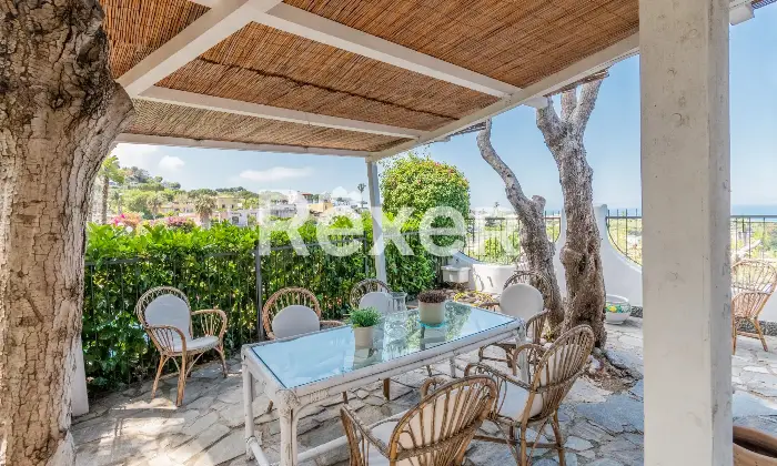 Rexer-Forio-Un-Angolo-di-Paradiso-a-Forio-dIschia-Magnifica-Villa-con-Giardino-Tropicale-e-Piscina-Termale-Altro