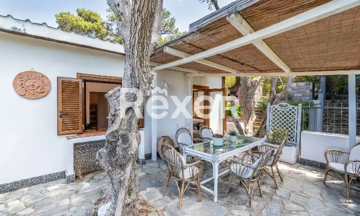 Rexer-Forio-Un-Angolo-di-Paradiso-a-Forio-dIschia-Magnifica-Villa-con-Giardino-Tropicale-e-Piscina-Termale-Altro