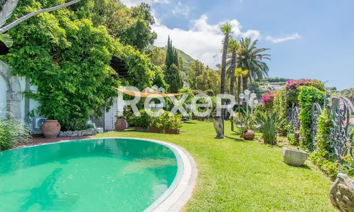 Rexer-Forio-Un-Angolo-di-Paradiso-a-Forio-dIschia-Magnifica-Villa-con-Giardino-Tropicale-e-Piscina-Termale-Altro