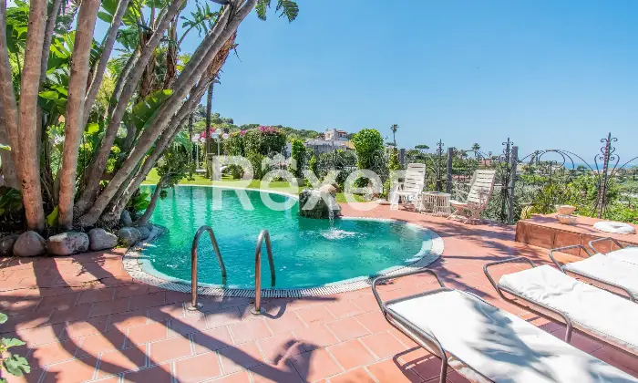 Rexer-Forio-Un-Angolo-di-Paradiso-a-Forio-dIschia-Magnifica-Villa-con-Giardino-Tropicale-e-Piscina-Termale-Altro