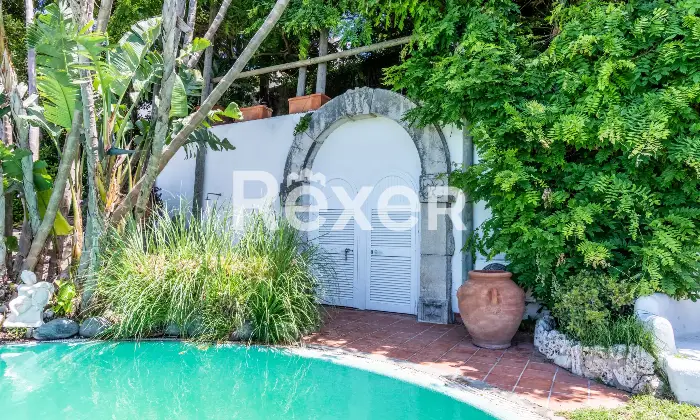 Rexer-Forio-Un-Angolo-di-Paradiso-a-Forio-dIschia-Magnifica-Villa-con-Giardino-Tropicale-e-Piscina-Termale-Altro