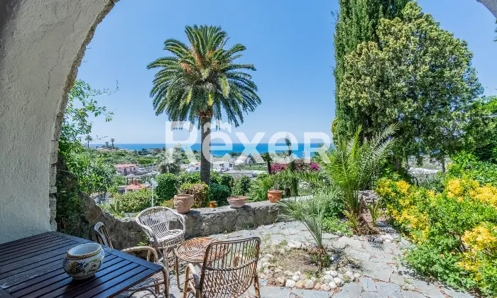 Rexer-Forio-Un-Angolo-di-Paradiso-a-Forio-dIschia-Magnifica-Villa-con-Giardino-Tropicale-e-Piscina-Termale-Altro