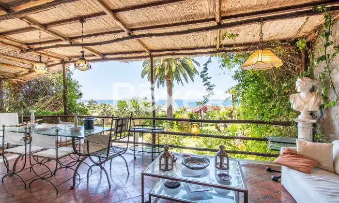 Rexer-Forio-Un-Angolo-di-Paradiso-a-Forio-dIschia-Magnifica-Villa-con-Giardino-Tropicale-e-Piscina-Termale-Altro