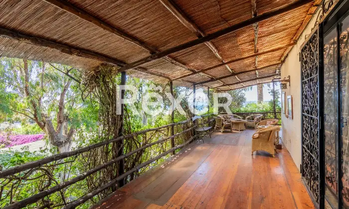 Rexer-Forio-Un-Angolo-di-Paradiso-a-Forio-dIschia-Magnifica-Villa-con-Giardino-Tropicale-e-Piscina-Termale-Altro