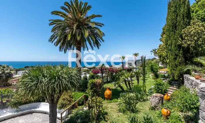 Rexer-Forio-Un-Angolo-di-Paradiso-a-Forio-dIschia-Magnifica-Villa-con-Giardino-Tropicale-e-Piscina-Termale-Altro
