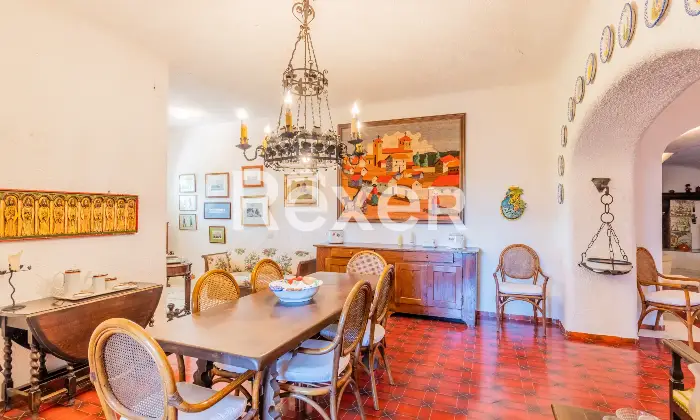 Rexer-Forio-Un-Angolo-di-Paradiso-a-Forio-dIschia-Magnifica-Villa-con-Giardino-Tropicale-e-Piscina-Termale-Altro