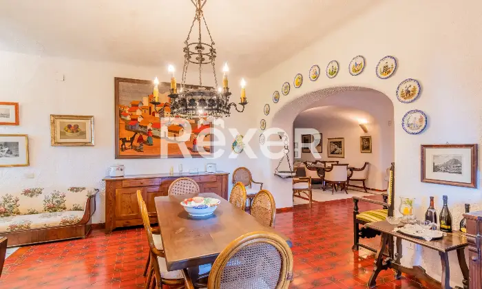 Rexer-Forio-Un-Angolo-di-Paradiso-a-Forio-dIschia-Magnifica-Villa-con-Giardino-Tropicale-e-Piscina-Termale-Altro