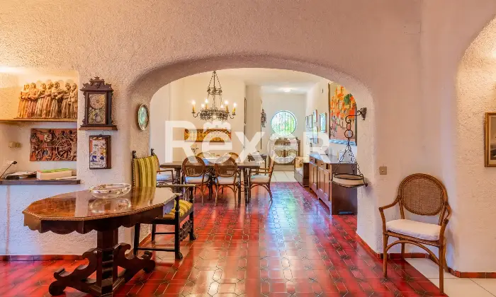 Rexer-Forio-Un-Angolo-di-Paradiso-a-Forio-dIschia-Magnifica-Villa-con-Giardino-Tropicale-e-Piscina-Termale-Altro