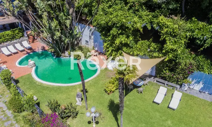 Rexer-Forio-Un-Angolo-di-Paradiso-a-Forio-dIschia-Magnifica-Villa-con-Giardino-Tropicale-e-Piscina-Termale-Altro