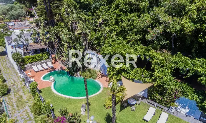 Rexer-Forio-Un-Angolo-di-Paradiso-a-Forio-dIschia-Magnifica-Villa-con-Giardino-Tropicale-e-Piscina-Termale-Altro