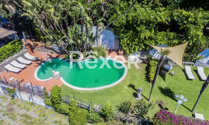 Rexer-Forio-Un-Angolo-di-Paradiso-a-Forio-dIschia-Magnifica-Villa-con-Giardino-Tropicale-e-Piscina-Termale-Altro