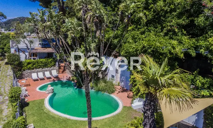 Rexer-Forio-Un-Angolo-di-Paradiso-a-Forio-dIschia-Magnifica-Villa-con-Giardino-Tropicale-e-Piscina-Termale-Altro
