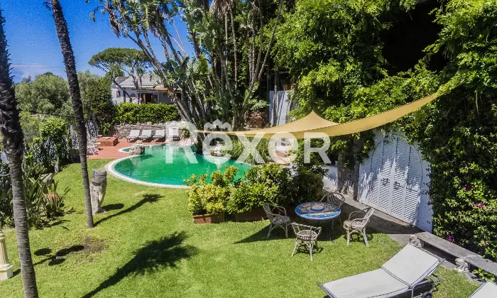 Rexer-Forio-Un-Angolo-di-Paradiso-a-Forio-dIschia-Magnifica-Villa-con-Giardino-Tropicale-e-Piscina-Termale-Altro