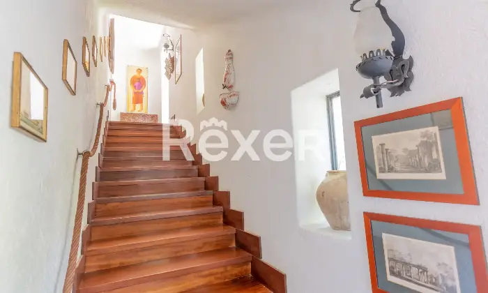 Rexer-Forio-Un-Angolo-di-Paradiso-a-Forio-dIschia-Magnifica-Villa-con-Giardino-Tropicale-e-Piscina-Termale-Altro