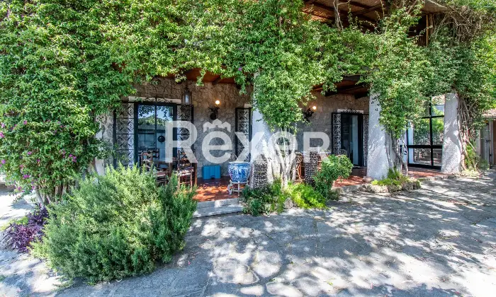 Rexer-Forio-Un-Angolo-di-Paradiso-a-Forio-dIschia-Magnifica-Villa-con-Giardino-Tropicale-e-Piscina-Termale-Altro