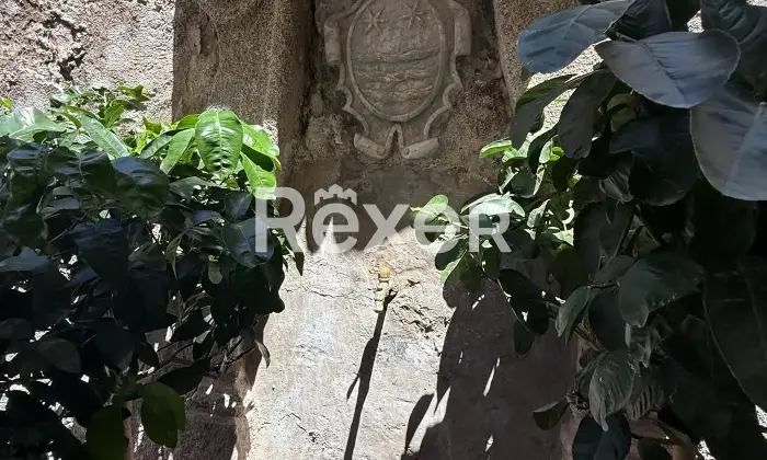 Rexer-Tropea-TROPEA-VIA-DARDANO-SNC-Altro