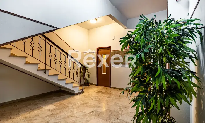 Rexer-Scandicci-Scandicci-centro-luminoso-appartamento-con-terrazze-Altro