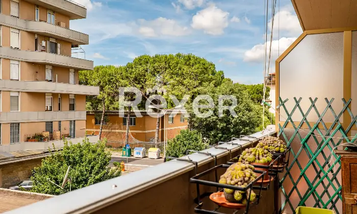 Rexer-Scandicci-Scandicci-centro-luminoso-appartamento-con-terrazze-Altro