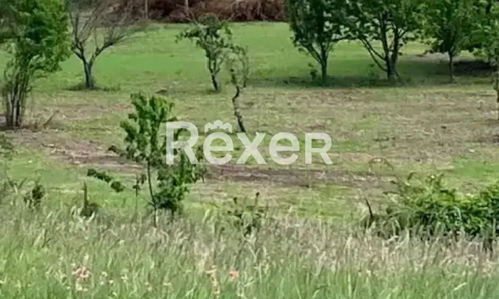 Rexer-Mornese-Terreno-in-vendita-in-Localit-San-Rocco-a-Mornese-Altro