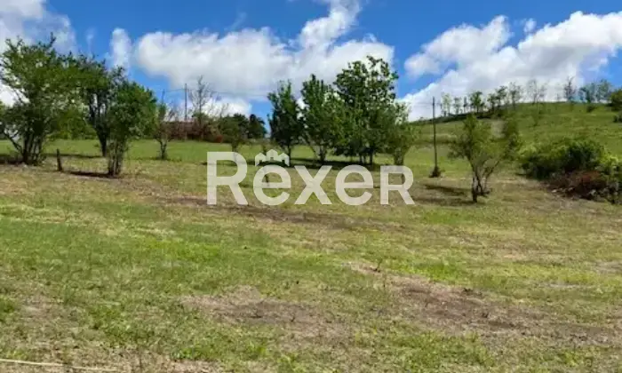 Rexer-Mornese-Terreno-in-vendita-in-Localit-San-Rocco-a-Mornese-Altro
