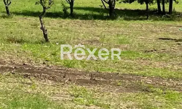 Rexer-Mornese-Terreno-in-vendita-in-Localit-San-Rocco-a-Mornese-Altro