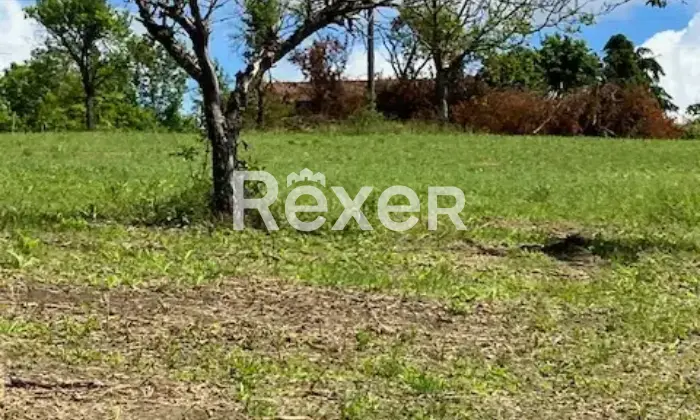 Rexer-Mornese-Terreno-in-vendita-in-Localit-San-Rocco-a-Mornese-Altro