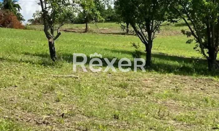 Rexer-Mornese-Terreno-in-vendita-in-Localit-San-Rocco-a-Mornese-AL-Altro