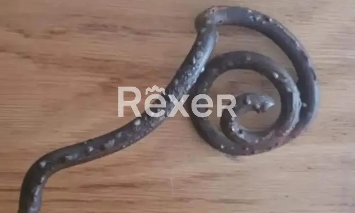 Rexer-Quartu-SantElena-E-S-S-E-N-Z-A-CASA-e-giardino-Dettagli