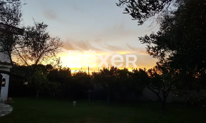 Rexer-Quartu-SantElena-E-S-S-E-N-Z-A-CASA-e-giardino-Giardino