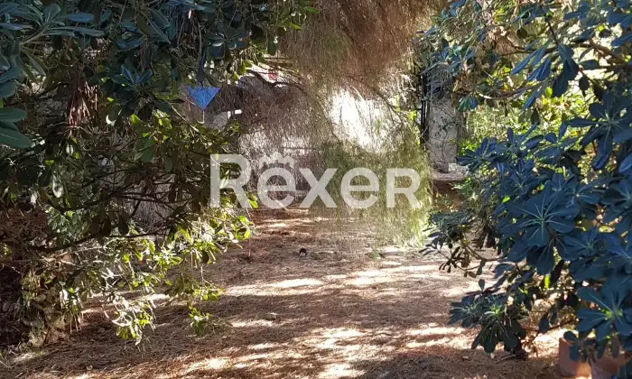 Rexer-Quartu-SantElena-E-S-S-E-N-Z-A-CASA-e-giardino-Esterno