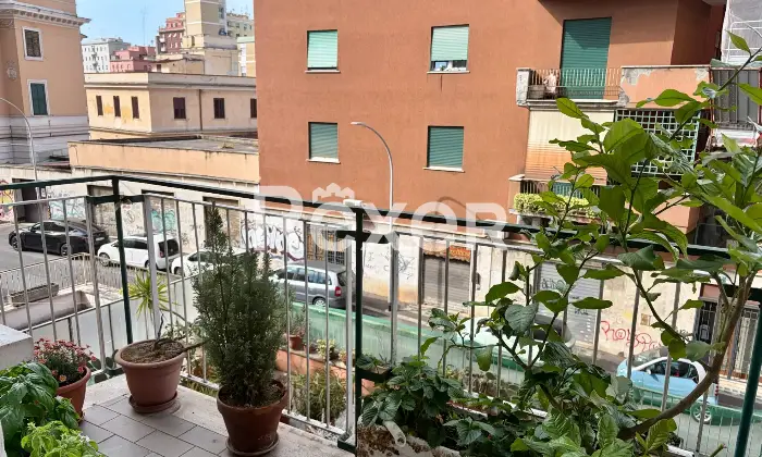 Rexer-Roma-Nuda-Propriet-Trilocale-Via-Alba-Altro