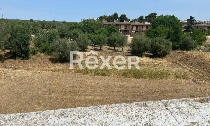 Rexer-Toritto-Casa-indipendente-in-vendita-in-Via-Quasano-a-Toritto-Altro