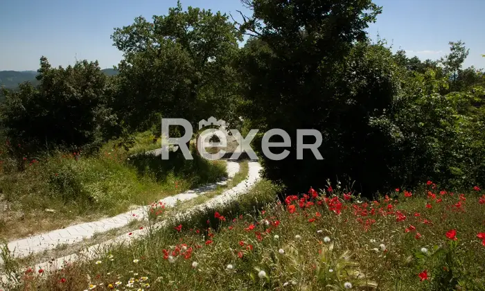 Rexer-Citt-di-Castello-Casale-panoramico-in-vendita-in-Localit-Belvedere-a-Citt-di-Castello-Altro