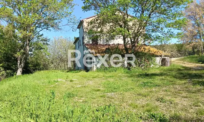 Rexer-Corinaldo-Casolare-con-Terreno-e-Ulivi-in-vendita-in-Via-S-Bartolo-a-Corinaldo-Altro