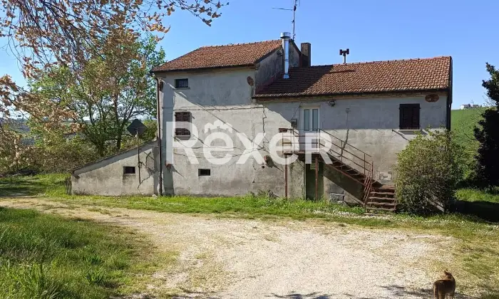 Rexer-Corinaldo-Casolare-con-Terreno-e-Ulivi-in-vendita-in-Via-S-Bartolo-a-Corinaldo-Altro