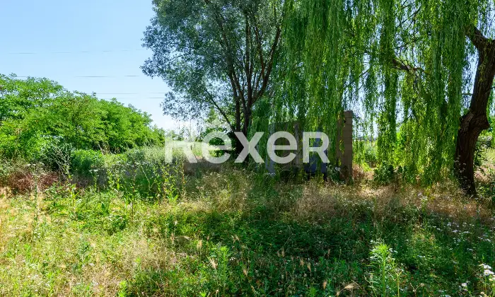 Rexer-Mirano-Casa-singola-con-terreno-Altro