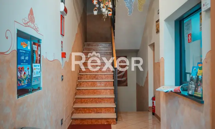 Rexer-Bussolengo-Palazzina-terracielo-Altro
