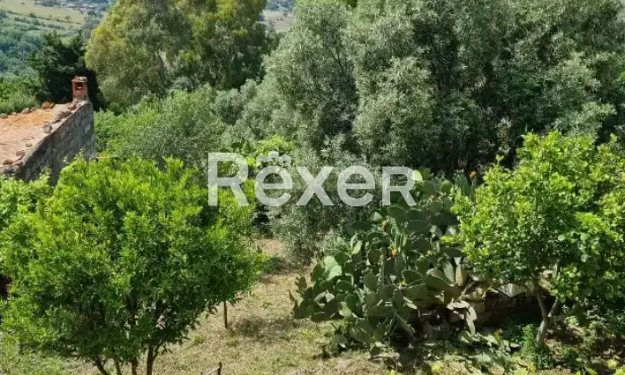 Rexer-Montresta-Casa-indipendente-in-vendita-in-Via-Asilo-a-Montresta-Altro