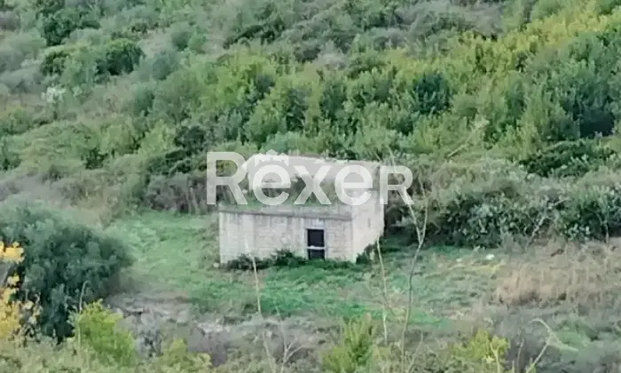 Rexer-Ossi-Propriet-rustica-in-vendita-in-Sp-ad-Ossi-Altro