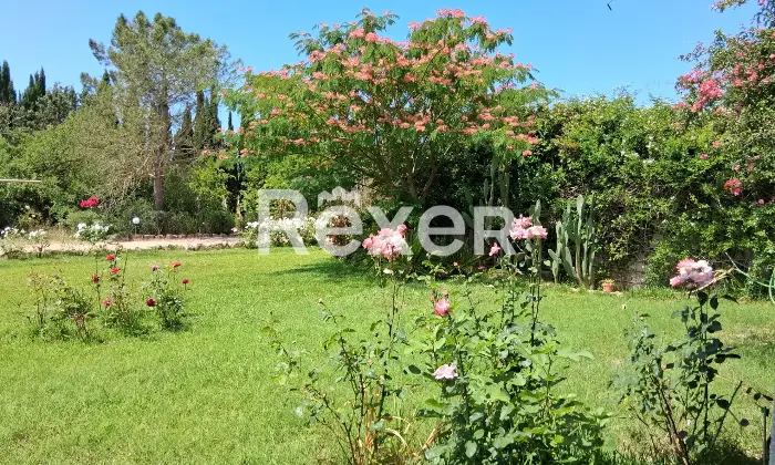 Rexer-Masainas-Intero-edificio-in-vendita-in-Via-Tirso-a-Masainas-Altro