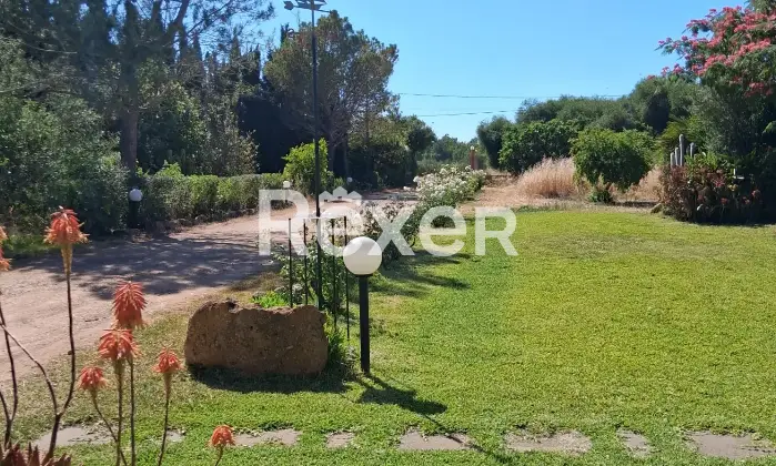 Rexer-Masainas-Intero-edificio-in-vendita-in-Via-Tirso-a-Masainas-Altro