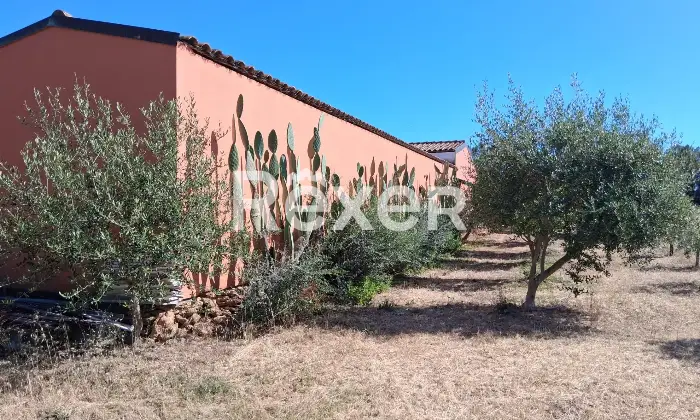 Rexer-Masainas-Intero-edificio-in-vendita-in-Via-Tirso-a-Masainas-Altro