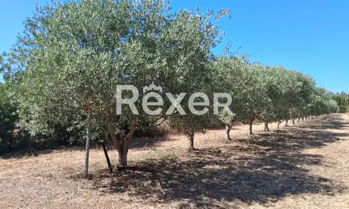 Rexer-Masainas-Intero-edificio-in-vendita-in-Via-Tirso-a-Masainas-Altro
