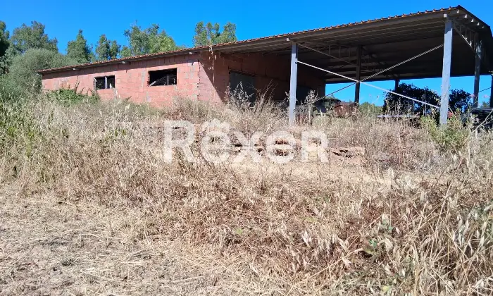 Rexer-Masainas-Intero-edificio-in-vendita-in-Via-Tirso-a-Masainas-Altro