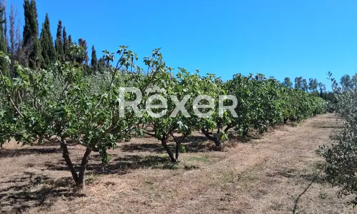 Rexer-Masainas-Intero-edificio-in-vendita-in-Via-Tirso-a-Masainas-Altro