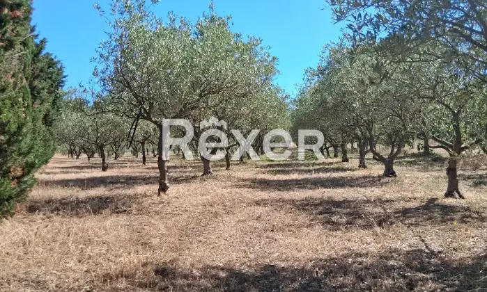 Rexer-Masainas-Intero-edificio-in-vendita-in-Via-Tirso-a-Masainas-Altro